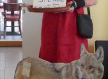 Alle Rechte vorbehalten - Walter Jung